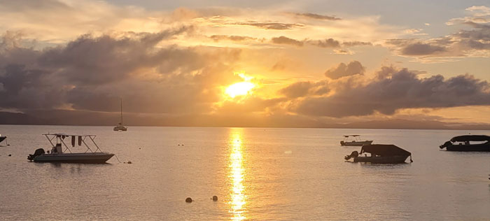Photography Tour in Puerto Jimenez